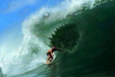 surf